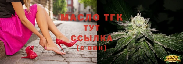 СК Алексин